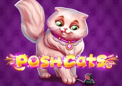 Posh Cats screenshot
